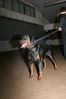 Filename=11~4.jpg
Filesize=170KB
Dimensions=700x1050
Date added=Feb 12, 2009 11~4.jpg