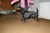 Filename=13~4.jpg
Filesize=95KB
Dimensions=700x467
Date added=Feb 12, 2009 13~4.jpg