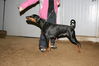 Filename=14~4.jpg
Filesize=95KB
Dimensions=700x467
Date added=Feb 12, 2009 14~4.jpg