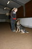 Filename=15~4.jpg
Filesize=189KB
Dimensions=700x1050
Date added=Feb 12, 2009 15~4.jpg