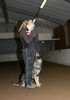 Filename=16~4.jpg
Filesize=175KB
Dimensions=700x997
Date added=Feb 12, 2009 16~4.jpg