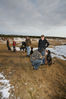 Filename=17.jpg
Filesize=183KB
Dimensions=700x1050
Date added=Apr 14, 2008 17.jpg