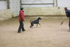 Filename=2t.jpg
Filesize=62KB
Dimensions=700x467
Date added=Oct 08, 2008 2t.jpg