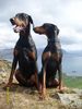 Filename=3~6.jpg
Filesize=84KB
Dimensions=450x600
Date added=Jun 05, 2009 3~6.jpg