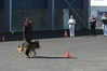 Filename=48~0.jpg
Filesize=52KB
Dimensions=700x467
Date added=May 14, 2008 48~0.jpg