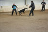Filename=4k.jpg
Filesize=54KB
Dimensions=700x467
Date added=Oct 08, 2008 4k.jpg