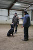Filename=5d.jpg
Filesize=152KB
Dimensions=700x1050
Date added=Oct 08, 2008 5d.jpg