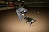 Filename=7~4.jpg
Filesize=76KB
Dimensions=700x467
Date added=Feb 12, 2009 7~4.jpg