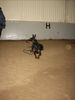 Filename=Aefing-Karma.jpg
Filesize=101KB
Dimensions=700x933
Date added=Nov 08, 2007 Aefing-Karma.jpg