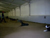 Filename=Aefing.jpg
Filesize=69KB
Dimensions=700x525
Date added=Nov 08, 2007 Aefing.jpg