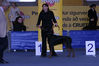 Filename=Cesar-cac-sýning-2006.jpg
Filesize=47KB
Dimensions=600x400
Date added=Feb 23, 2007 Cesar-cac-sýning-2006.jpg