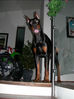 Filename=Hæ.jpg
Filesize=33KB
Dimensions=360x481
Date added=Feb 21, 2007 Hæ.jpg