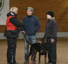 Filename=Kalli9.jpg
Filesize=71KB
Dimensions=700x663
Date added=Nov 21, 2007 Kalli9.jpg