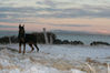 Filename=Lína-vetur.jpg
Filesize=39KB
Dimensions=600x400
Date added=Feb 22, 2007 Lína-vetur.jpg