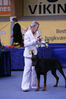 Filename=Max-cac-sýning-2006.jpg
Filesize=75KB
Dimensions=600x900
Date added=Feb 23, 2007 Max-cac-sýning-2006.jpg