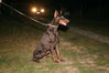 Filename=Paradise-2.jpg
Filesize=51KB
Dimensions=600x400
Date added=Feb 21, 2007 Paradise-2.jpg
