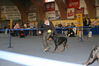 Filename=Sýning3-2006.jpg
Filesize=49KB
Dimensions=600x400
Date added=Feb 23, 2007 Sýning3-2006.jpg