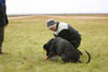 Filename=Steinar-og-Champ1.jpg
Filesize=47KB
Dimensions=600x400
Date added=Feb 23, 2007 Steinar-og-Champ1.jpg