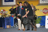 Filename=Syning7-2006.jpg
Filesize=58KB
Dimensions=600x400
Date added=Feb 23, 2007 Syning7-2006.jpg
