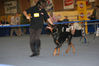 Filename=Syning8-2006.jpg
Filesize=44KB
Dimensions=600x400
Date added=Feb 23, 2007 Syning8-2006.jpg