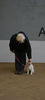 Filename=Tobba1.jpg
Filesize=105KB
Dimensions=700x1553
Date added=Nov 21, 2007 Tobba1.jpg