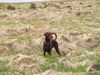 Filename=X-út-í-náttúrunni.jpg
Filesize=91KB
Dimensions=600x450
Date added=Feb 21, 2007 X-út-í-náttúrunni.jpg