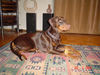 Filename=X-beinid-mitt.jpg
Filesize=68KB
Dimensions=600x450
Date added=Feb 21, 2007 X-beinid-mitt.jpg