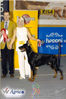 Filename=a3.jpg
Filesize=162KB
Dimensions=700x1055
Date added=Mar 03, 2009 a3.jpg