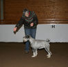 Filename=aefing10-1.jpg
Filesize=69KB
Dimensions=700x691
Date added=Jan 07, 2008 aefing10-1.jpg