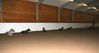Filename=aefing10-12.jpg
Filesize=40KB
Dimensions=700x376
Date added=Jan 07, 2008 aefing10-12.jpg