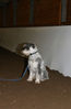 Filename=aefing10-15.jpg
Filesize=84KB
Dimensions=700x1070
Date added=Jan 07, 2008 aefing10-15.jpg