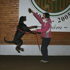 Filename=aefing10-2.jpg
Filesize=75KB
Dimensions=700x697
Date added=Jan 07, 2008 aefing10-2.jpg