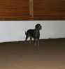 Filename=aefing10-25~0.jpg
Filesize=67KB
Dimensions=700x750
Date added=Jan 13, 2008 aefing10-25~0.jpg
