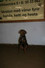 Filename=aefing11-15.jpg
Filesize=76KB
Dimensions=700x1050
Date added=Jan 13, 2008 aefing11-15.jpg