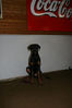 Filename=aefing11-18.jpg
Filesize=75KB
Dimensions=700x1050
Date added=Jan 13, 2008 aefing11-18.jpg