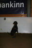 Filename=aefing11-19.jpg
Filesize=78KB
Dimensions=700x1050
Date added=Jan 13, 2008 aefing11-19.jpg