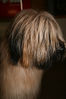 Filename=aefing12-1.jpg
Filesize=113KB
Dimensions=700x1050
Date added=Jan 21, 2008 aefing12-1.jpg