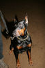Filename=aefing12-10.jpg
Filesize=86KB
Dimensions=700x1050
Date added=Jan 21, 2008 aefing12-10.jpg