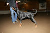 Filename=aefing12-13.jpg
Filesize=50KB
Dimensions=700x467
Date added=Jan 21, 2008 aefing12-13.jpg