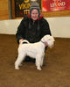 Filename=aefing12-14.jpg
Filesize=106KB
Dimensions=700x870
Date added=Jan 21, 2008 aefing12-14.jpg