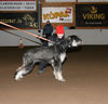 Filename=aefing14-11.jpg
Filesize=87KB
Dimensions=700x675
Date added=Feb 03, 2008 aefing14-11.jpg