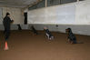 Filename=aefing14-14.jpg
Filesize=48KB
Dimensions=700x467
Date added=Feb 03, 2008 aefing14-14.jpg
