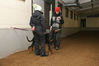 Filename=aefing14-16.jpg
Filesize=60KB
Dimensions=700x467
Date added=Feb 03, 2008 aefing14-16.jpg
