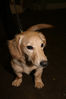 Filename=aefing14-2.jpg
Filesize=68KB
Dimensions=700x1050
Date added=Feb 03, 2008 aefing14-2.jpg