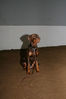 Filename=aefing15-11.jpg
Filesize=83KB
Dimensions=700x1050
Date added=Feb 16, 2008 aefing15-11.jpg