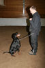 Filename=aefing5-3.jpg
Filesize=120KB
Dimensions=700x1050
Date added=Dec 10, 2007 aefing5-3.jpg