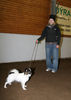 Filename=aefing6-1.jpg
Filesize=104KB
Dimensions=700x985
Date added=Dec 10, 2007 aefing6-1.jpg