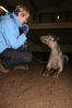 Filename=aefing7-10.jpg
Filesize=138KB
Dimensions=700x1050
Date added=Dec 15, 2007 aefing7-10.jpg