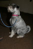 Filename=aefing7-19.jpg
Filesize=130KB
Dimensions=700x1050
Date added=Dec 15, 2007 aefing7-19.jpg