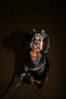 Filename=aefing8-1.jpg
Filesize=54KB
Dimensions=700x1050
Date added=Dec 29, 2007 aefing8-1.jpg